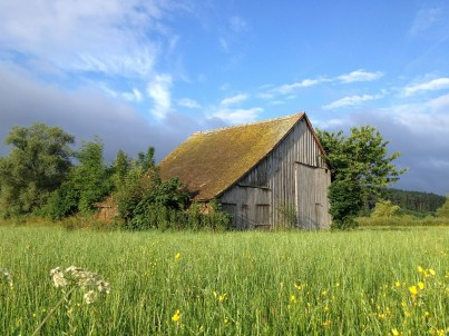 barn-392967_1920