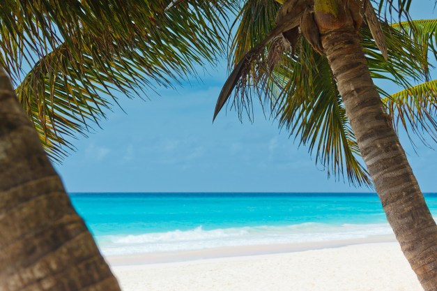 beach-84564_1920