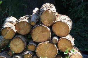 wood-1573706_640