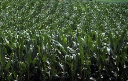 pennsylvania-392390_640