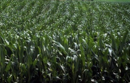 pennsylvania-392390_640