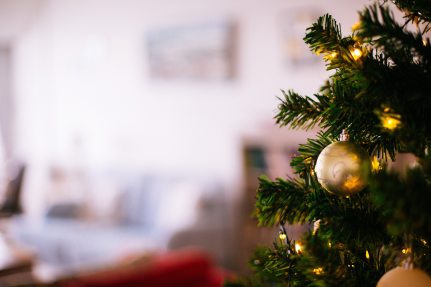 shallow-focus-photography-of-christmas-tree-775485.jpg
