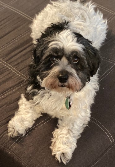 68178E82-B1C5-41F1-BE04-82EB0DAE9BFD_1_201_a